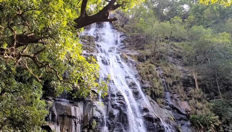 Bhopal Pachmarhi Tour Packages