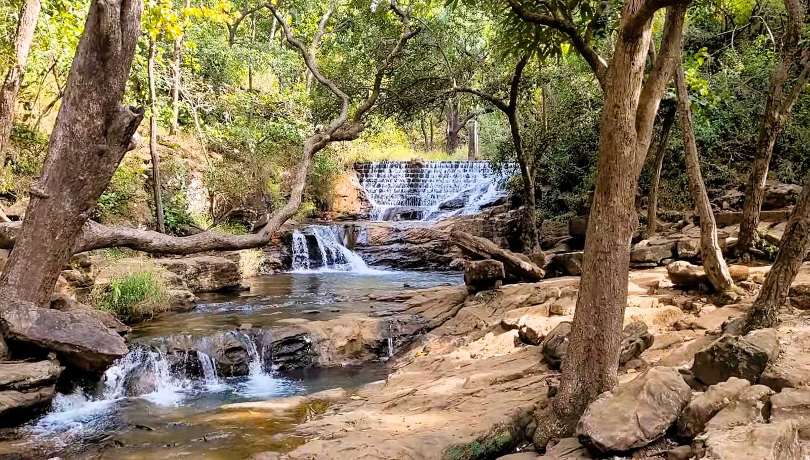 Explore Bhedaghat marble rocks and Pachmarhi hills near Jabalpur