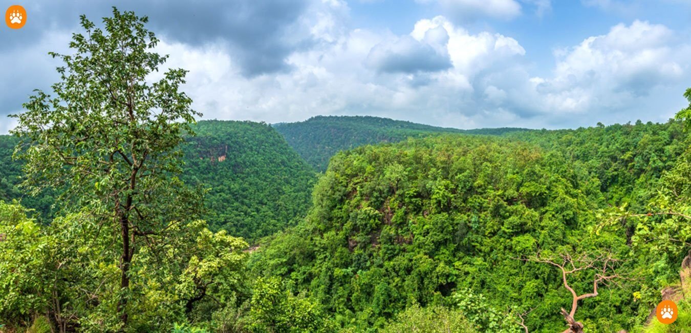 Green Satpura hills around Pachmarhi under a blue sky