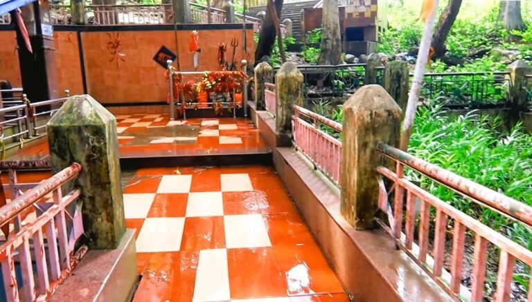Mai Ki Bagiya garden at Amarkantak