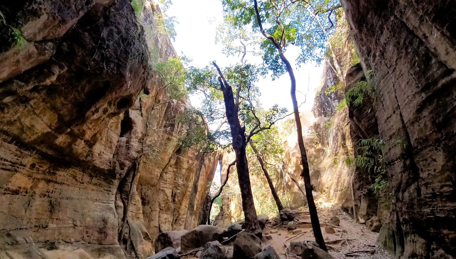 Discover Reechgarh Caves in Pachmarhi