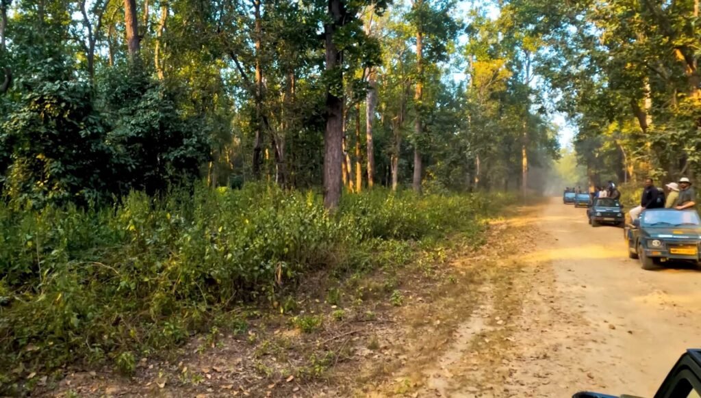 Kanha Tour Package 2