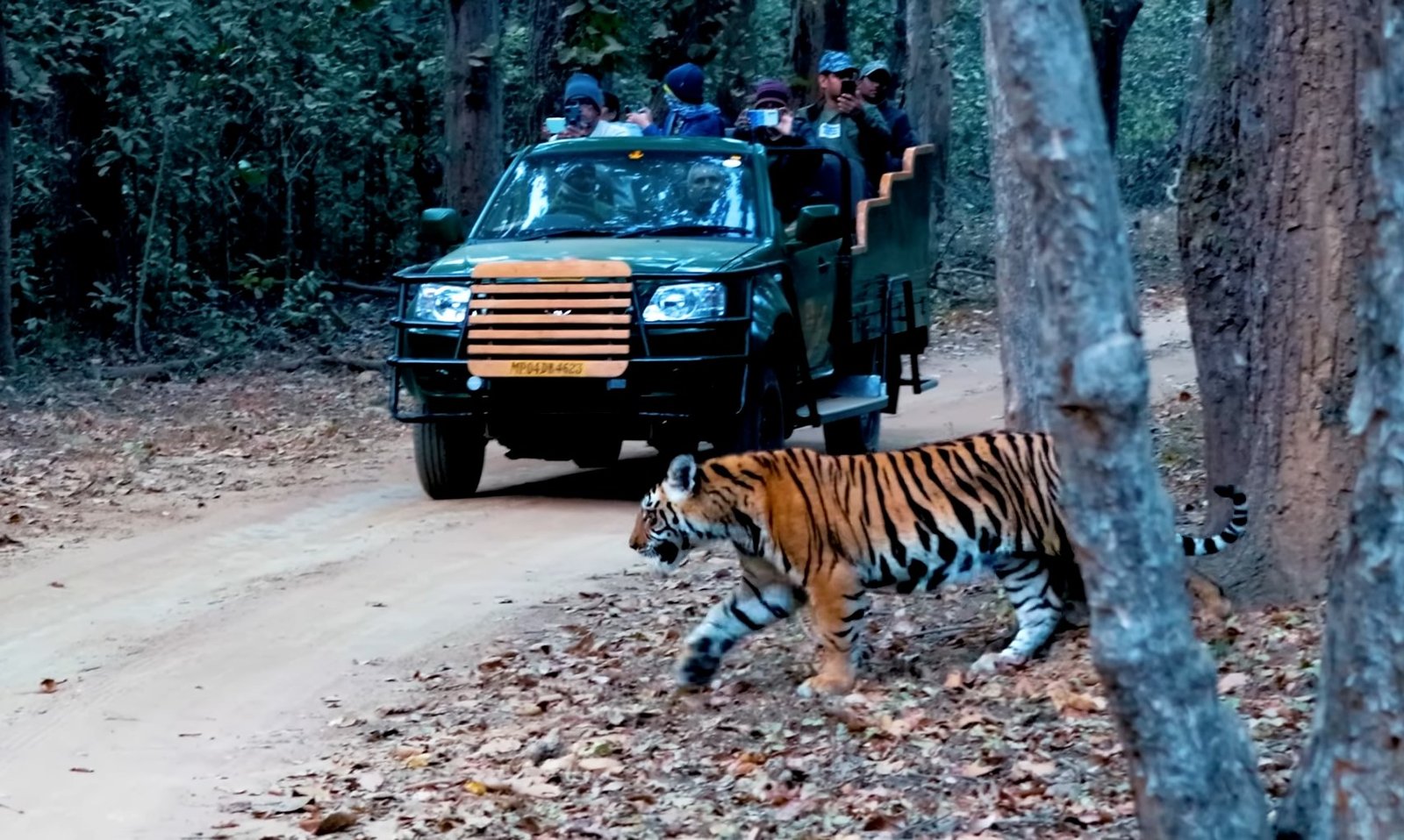 Kanha Tour Package 5