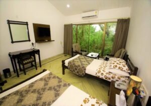 Gallery (23)