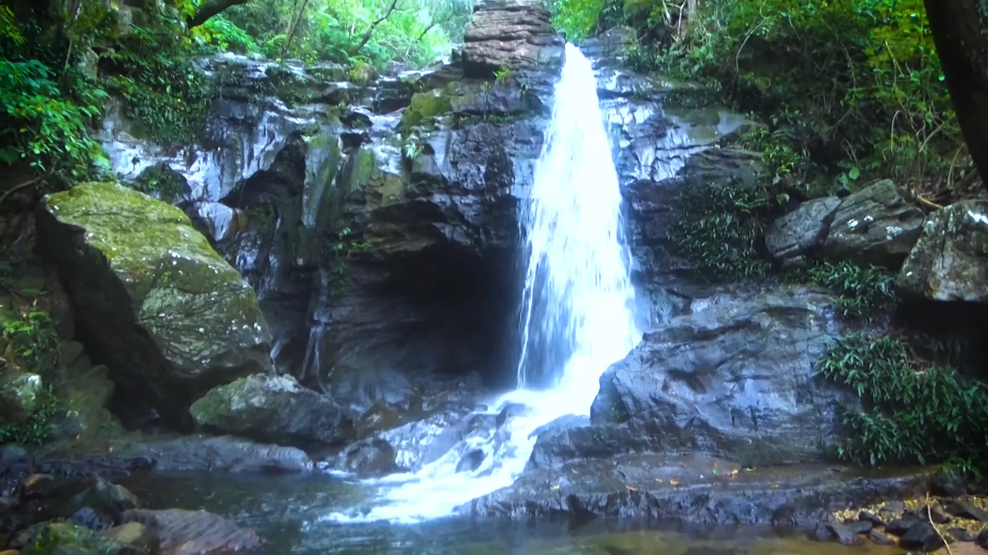 Duchess Fall Pachmarhi Trekking In Deep Forest - Pachmarhi Tour Package from Odisha – 3 Nights 4 Days