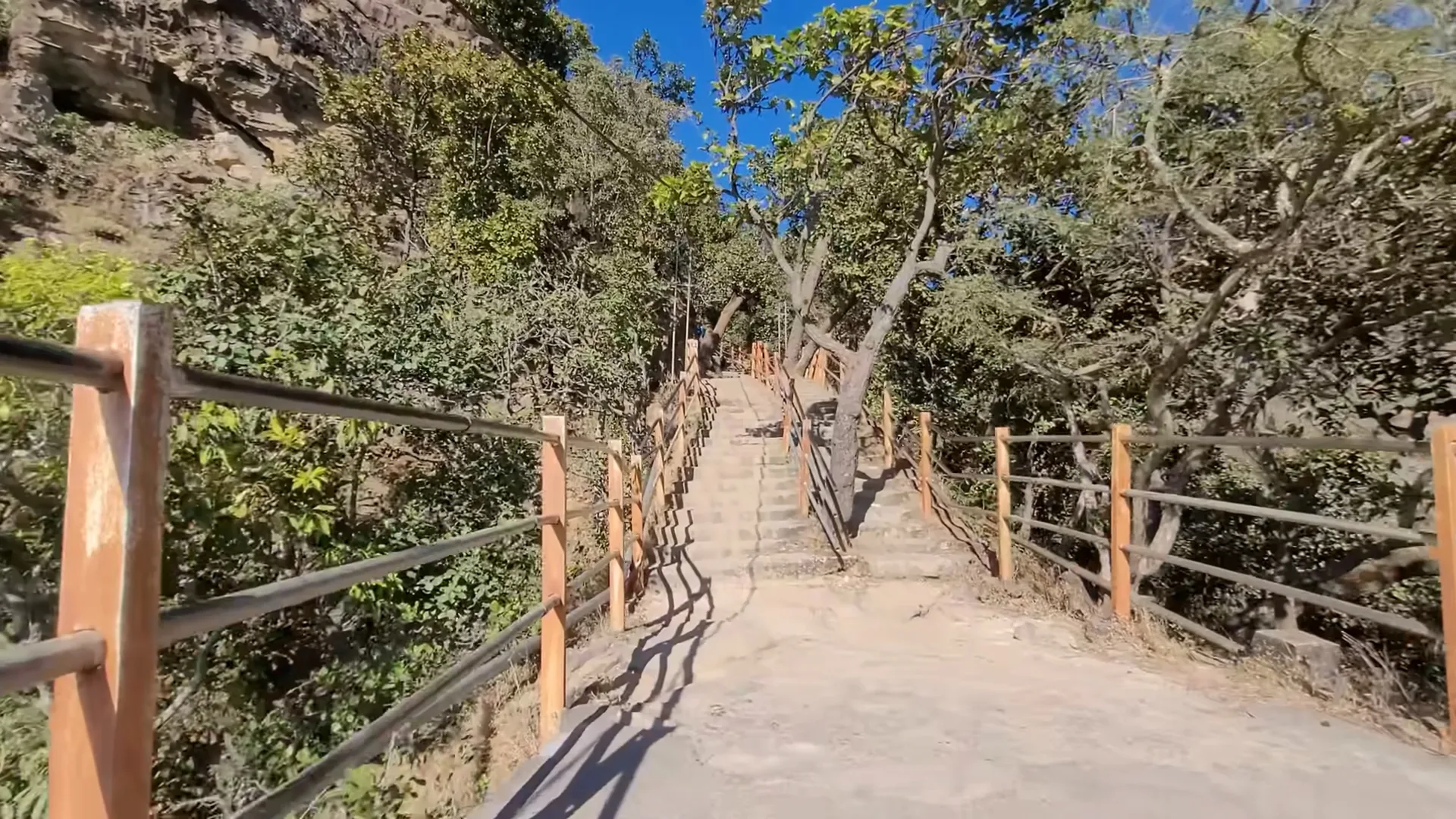 Wooden forest walkway on a sightseeing trail in Pachmarhi